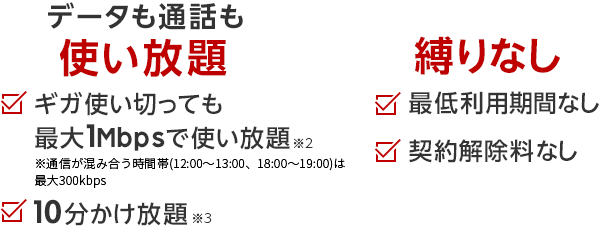 データも通話も使い放題